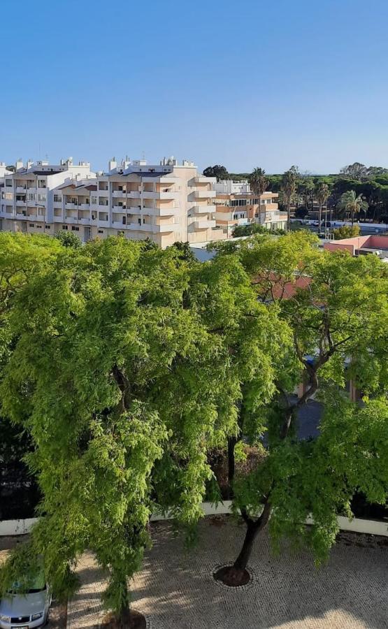 Casa Das Conchas Кошта-да-Капарика Экстерьер фото